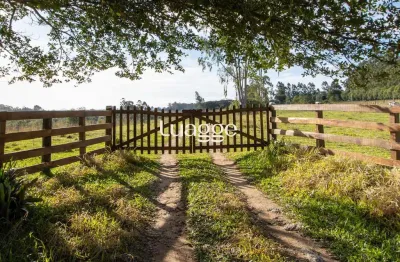 Chácara / sítio com 3 quartos à venda na Beco Da Cegonha, 2100, Estância Grande, Viamão