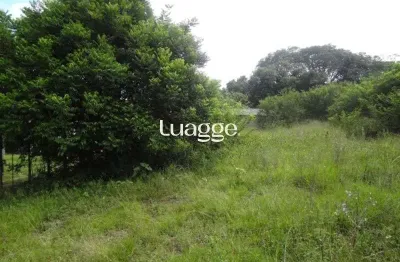 Terreno à venda na Estrada São Caetano, 1299, Lami, Porto Alegre