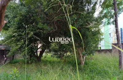 Terreno à venda na Rua Doutor Mário Totta, 2808, Tristeza, Porto Alegre