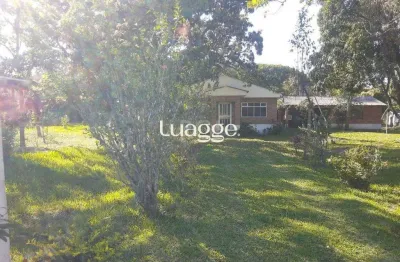 Sítio para venda - 3330m², 3 dormitórios, sendo 1 suites, itapuã