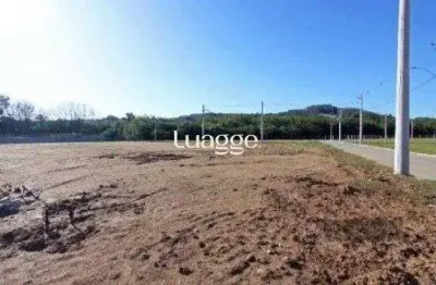 Terreno à venda na Estrada Jorge Pereira Nunes, 578, Campo Novo, Porto Alegre