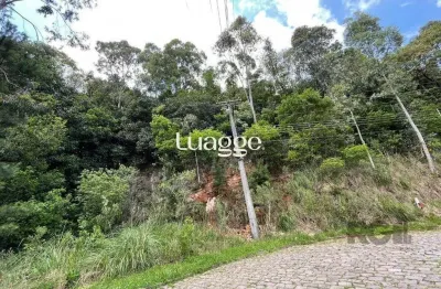 Terreno à venda na Rua Constante Adorino Pola, 101, Santa Catarina, Caxias do Sul