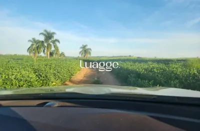 Chácara / sítio com 3 quartos à venda na Osvaldo Aranha Br 290, 226, Medianeira, Eldorado do Sul