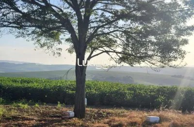 Chácara / sítio com 3 quartos à venda na Osvaldo Aranha Br 290, 226, Medianeira, Eldorado do Sul