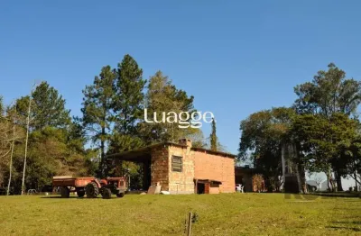 Chácara / sítio com 3 quartos à venda na Estrada da Estancia Grande, 573, Estância Grande, Viamão