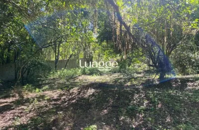 Terreno à venda na Estrada Marechal Marciano Ávila, 409, Belém Velho, Porto Alegre