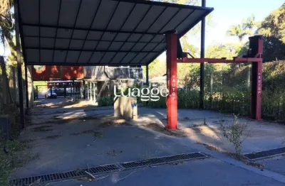 Casa comercial para locação/aluguel - 200m², 0 dormitórios, pedra redonda