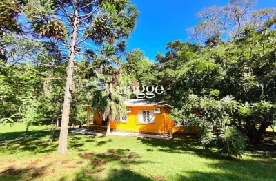 Seu refúgio na zona sul! chácara incrível em belém velho – 1,5 hectare com casa encantadora e açude!
