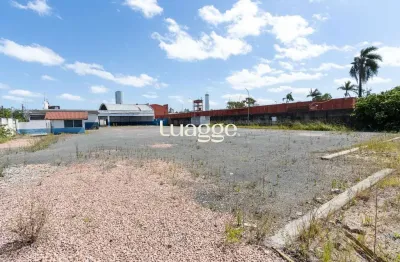 Terreno excelente oportunidade para empresas de grande porte para alugar