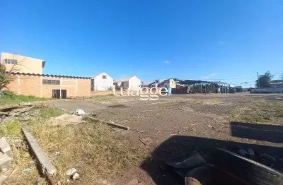 Terreno comercial para alugar na Rua Dona Teodora, 278, Farrapos, Porto Alegre