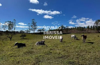 Sítio com 2 casas, 2 barracões de de 120 m² e 1 barracão de 300 m² e ainda carvoaria com 24 fornos