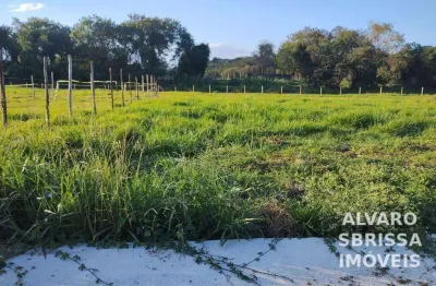 Terreno medindo 10 x 25 metros a venda no parque são domingos em pindamonhangaba sp