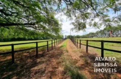 Haras com 3 dormitórios à venda, 798600 m² por r$ 18.900.000,00 - chapadão - porto feliz/sp