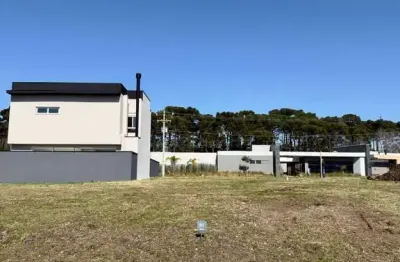 Terreno à venda na Dos Pintassilgos 130, 130, Aviação, São José dos Pinhais
