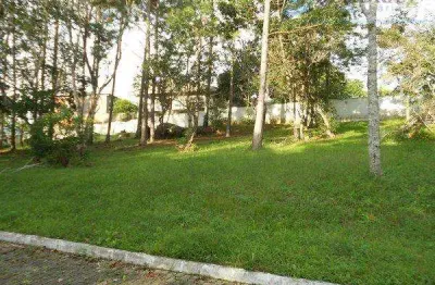 Terreno em condomínio fechado à venda na Estrada Intendente Antônio Damasco, 2430, Ratones, Florianópolis