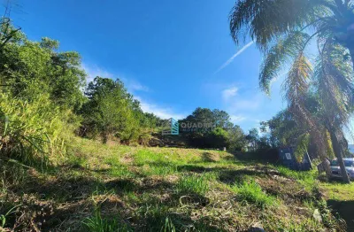 Terreno para alugar, 1613 m² por r$ 12.000,00/mês - córrego grande - florianópolis/sc