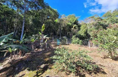 Terreno à venda na Servidão das Jaboticabeiras, 233, Córrego Grande, Florianópolis