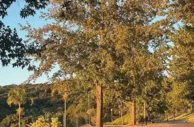 Lote/terreno à venda no condomínio quinta da baroneza em bragança paulista - sp