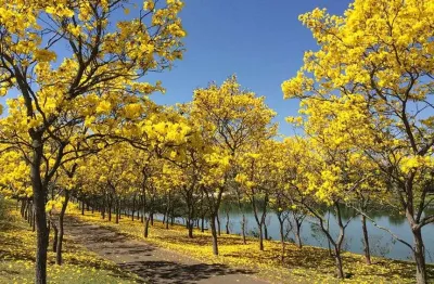 Lote/ terreno á venda no condomínio alto luxo quinta da baroneza, bragança paulista - sp