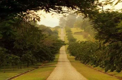 Terreno/ lote à venda no condomínio alto luxo fazenda haras larissa em monte mor - sp.