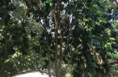 Chácara para venda no chácaras carolinas em itu - sp.