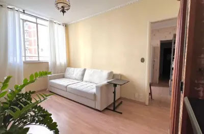 Apartamento à venda no condomínio terezinha magalhães no cambuí em campinas - sp.