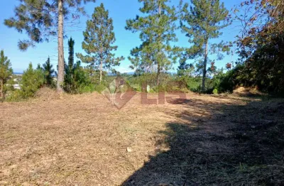 Terreno à venda na Avenida Jardim, Massaguaçu, Caraguatatuba