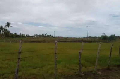 Terrenoárea à venda, povoado touro - barra dos coqueiros/se