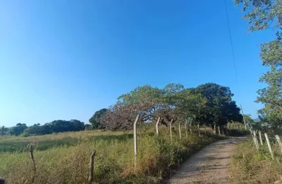 Chácara / sítio à venda na São Domingos, Centro, São Domingos