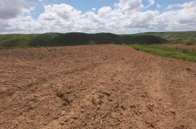 Chácara / sítio à venda na Sítio Do Quinto, 63, Zona Rural, Sítio do Quinto