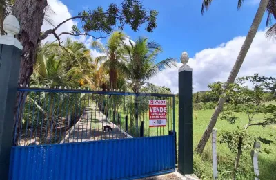 Sítio para venda no povoado carlos torres, salgado, sergipe