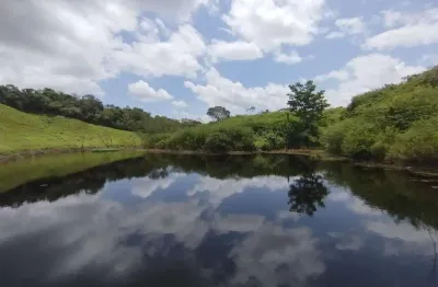 Chácara / sítio com 5 quartos à venda na Zona Rural, 84, Zona Rural, São Domingos