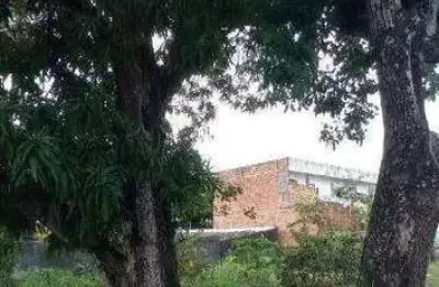 Terreno comercial à venda na Rua São Francisco, 238, Luiz Alves, São Cristóvão