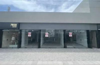 Sala Comercial Premium em Área Hospitalar - Próximo ao Batistão