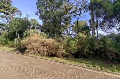 Terreno à venda no bairro carniel com 616 m² de área privativa