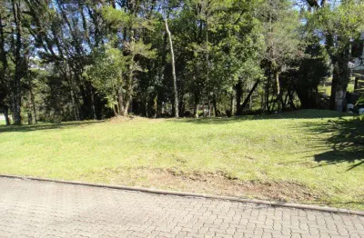 Terreno à venda no bairro altos pinheiros com 707 m² de área privativa