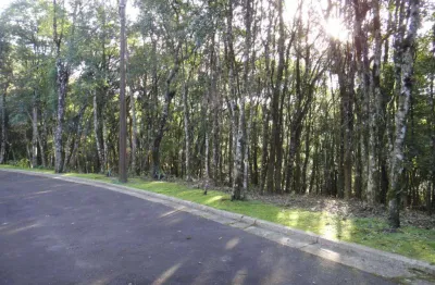 Terreno à venda no bairro vila nova de gaia com 800 m² de área privativa