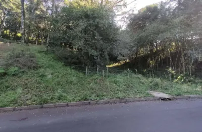Terreno à venda no bairro santa terezinha com 613 m² de área privativa