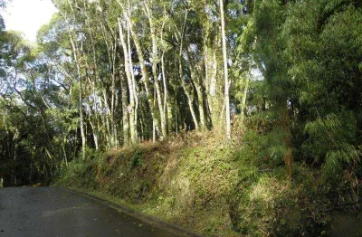 Terreno à venda na Rua Prefeito Waldemar F. Weber, s.n, Vale do Bosque, Gramado
