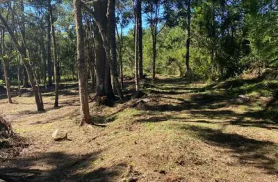 Area de terra à venda no bairro carniel com 14000 m² de área privativa