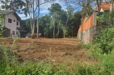 Terreno à venda no bairro avenida central com 600 m² de área privativa