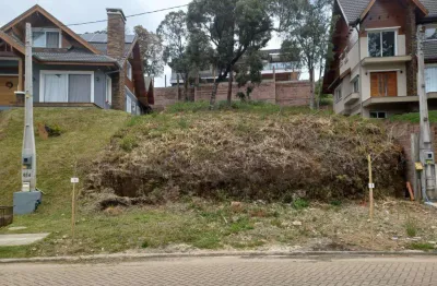 Terreno à venda no bairro carniel com 469 m² de área privativa