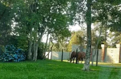 Area de terra à venda no bairro três pinheiros com 4000 m² de área privativa