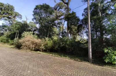 Terreno à venda no bairro carniel com 600 m² de área privativa