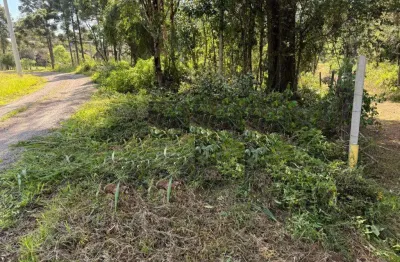 Area de terra à venda no bairro três pinheiros com 9300 m² de área privativa