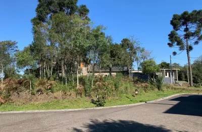 Terreno à venda no bairro carniel com 544 m² de área privativa