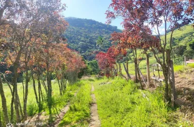 Sitio toledo minas gerais com uma área total de 38.720.00m² equivalente a 03,87,20ha (alqueires)