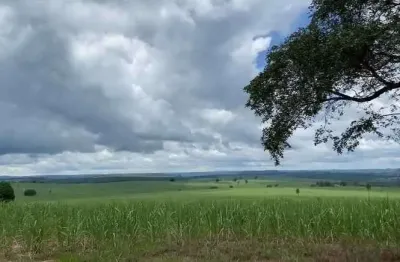 Fazenda à venda na Zona Rural, Ribeirão Bonito 