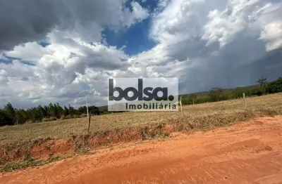 Fazenda arrendada  - investimento seguro - longo prazo