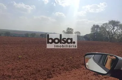 Fazenda à venda na Área Rural de Assis, Assis 